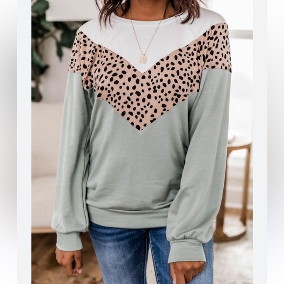 Pink Lily Tops - Pink Lily Green Brown and Tan Leopard Print Sweatshirt